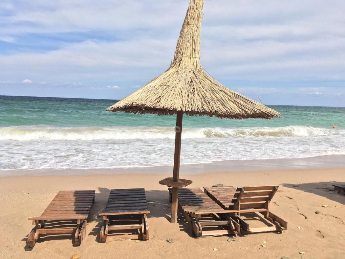 Sofia Seaside Apartamente Mamaia Nord ナボダリ エクステリア 写真